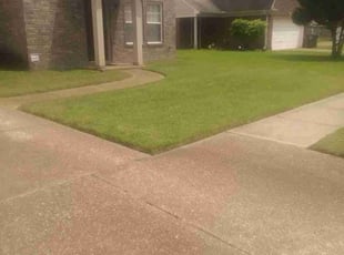 Aaron R.'s grass maintenance service result