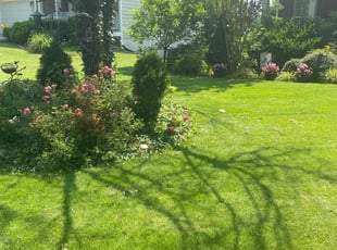 Janet W.'s lawn maintenance service result