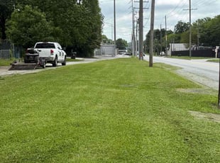 Randy L.'s grass maintenance service result