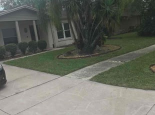 Araceli E.'s turf maintenance service result