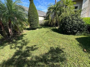 Christopher J.'s grass cutting service result