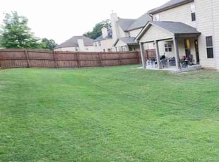 Matt V.'s turf care service result