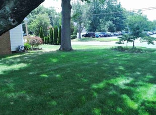 Christina M.'s lawn service service result