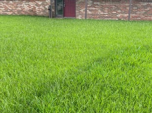 Herman M.'s lawn service service result