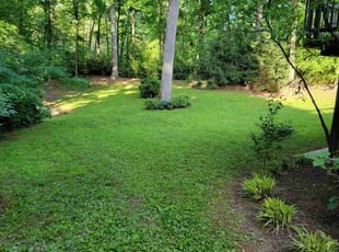 Janice V.'s grass maintenance service result