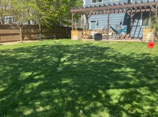 Shae D.'s turf care service result