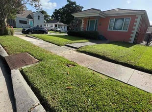 Darian R.'s turf care service result