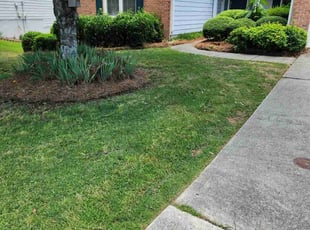 Gina U.'s turf care service result