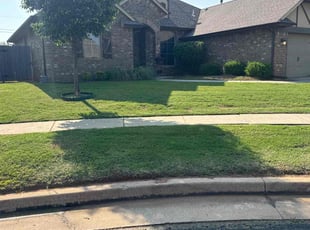 Henri R.'s grass maintenance service result