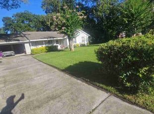 Ian D.'s grass maintenance service result