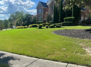 Nick W.'s lawn care service result