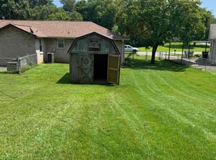 Lucia H.'s yard care service result