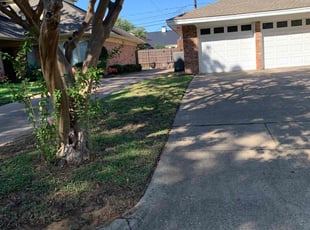 John S.'s turf care service result