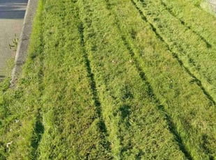 Annette C.'s grass cutting service result
