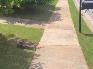 Mary S.'s lawn care services service result