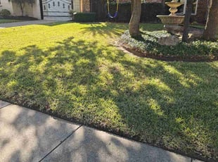 Rosalyn W.'s lawn care services service result