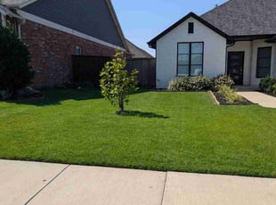 Michael P.'s lawn maintenance service result