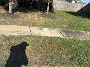 John S.'s lawn service service result