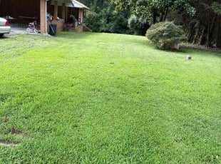 Grace S.'s grass cutting service result