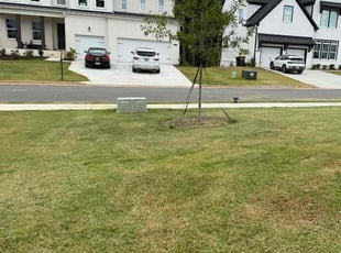 Michael R.'s turf maintenance service result