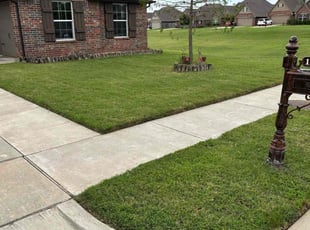 Lynette L.'s grass maintenance service result