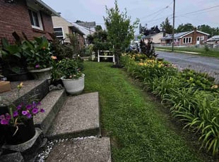 Jean W.'s turf maintenance service result