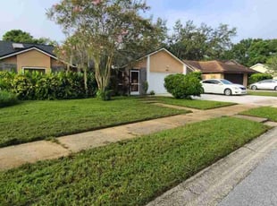 Dana D.'s turf care service result