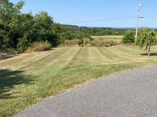 Jessica W.'s lawn service service result