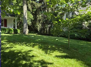 Rolland W.'s lawn maintenance service result