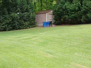 Suzanne M.'s lawn service service result