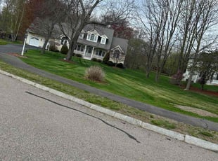 Mr B.'s turf care service result