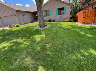 Cynthia P.'s gardening service service result