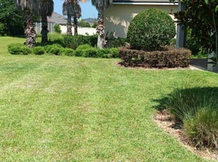 Ranger P.'s grass maintenance service result