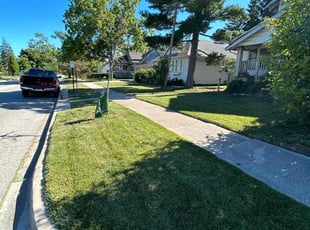 Linda H.'s lawn care services service result