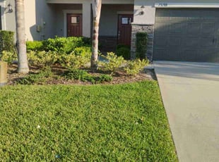 Austin G.'s turf care service result