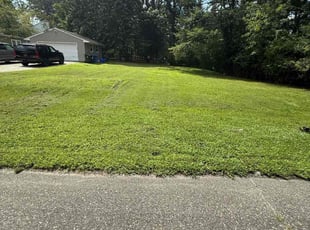 Veronica L.'s turf care service result
