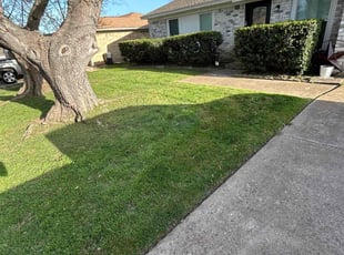 Stephenie T.'s lawn maintenance service result