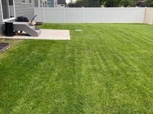 Richard R.'s lawn care services service result