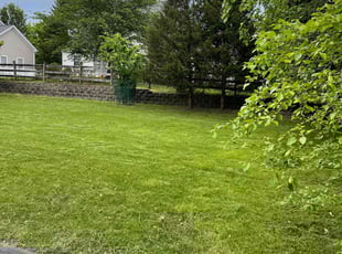 lorne k.'s lawn service service result