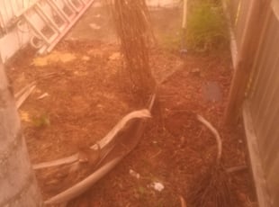 Stanley W.'s Flower Bed Weeding service result