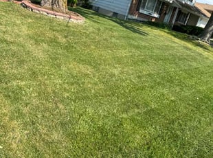 Amanda F.'s lawn service service result