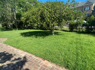 David D.'s Bush Trimming service result