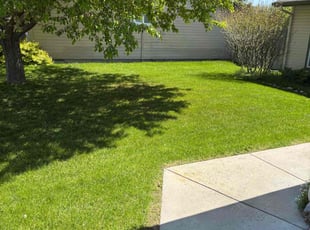 Terri F.'s lawn care services service result