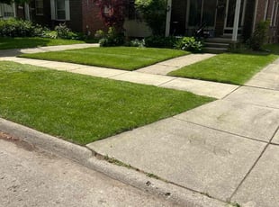 Preston W.'s gardening service service result