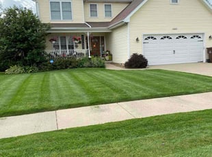 Patricia S.'s grass cutting service result