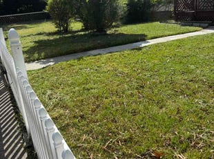 Lori L.'s lawn maintenance service result