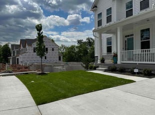 Birchell S.'s lawn care services service result