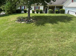 Jennifer G.'s turf maintenance service result