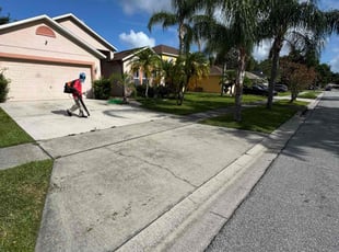 John D.'s lawn service service result