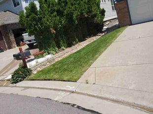 David B.'s lawn maintenance service result